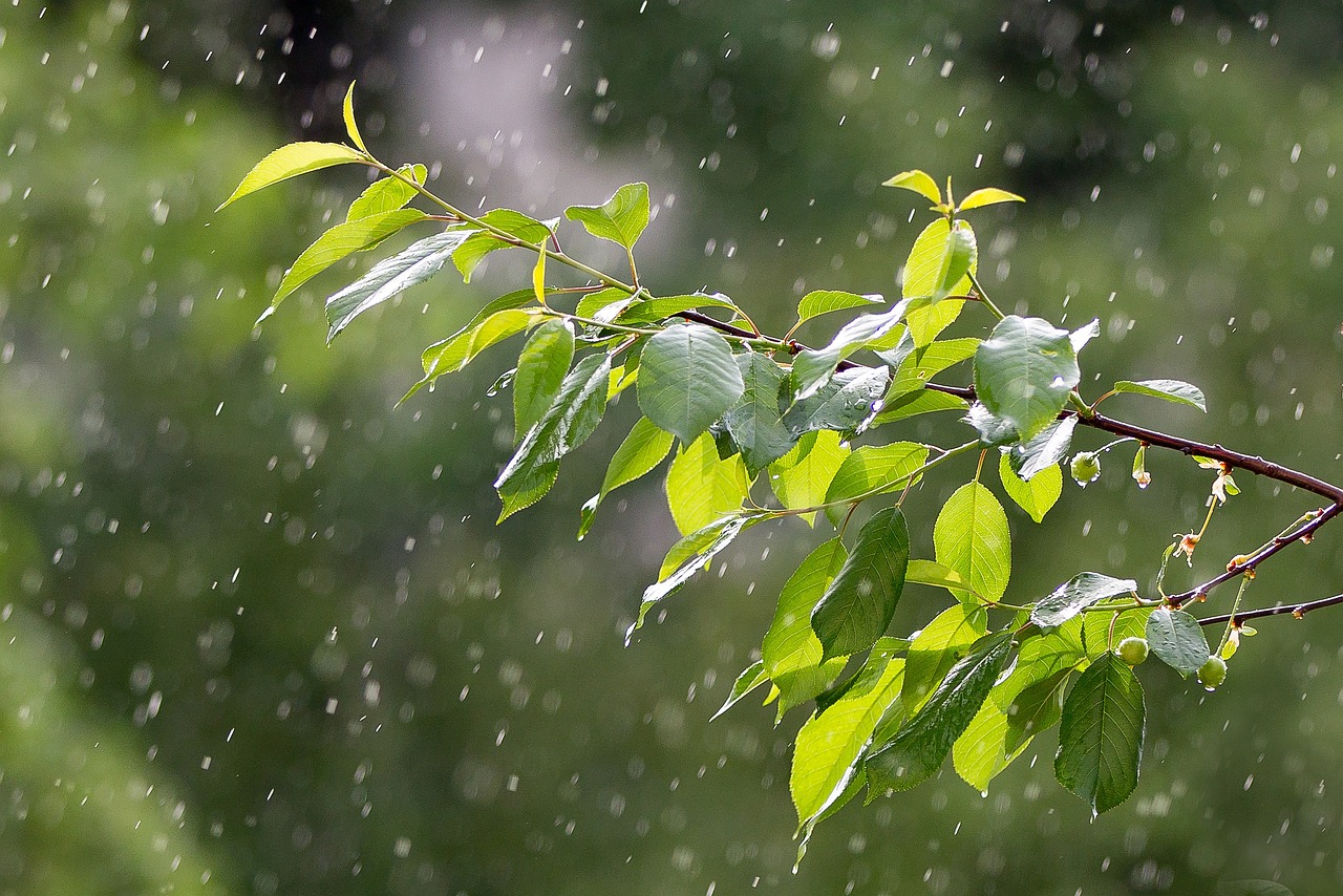 深圳发布暴雨黄色预警信号