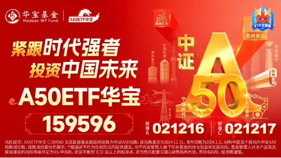 继续涨！沪指一举拿下2900点！A50龙头全线上涨，A50ETF华宝（159596）上探3%站上半年线