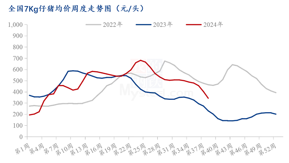 仔猪价格“腰斩” 养殖补栏现分歧 业内预期明年养猪仍盈利